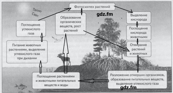 Методичка по ландшафтоведению