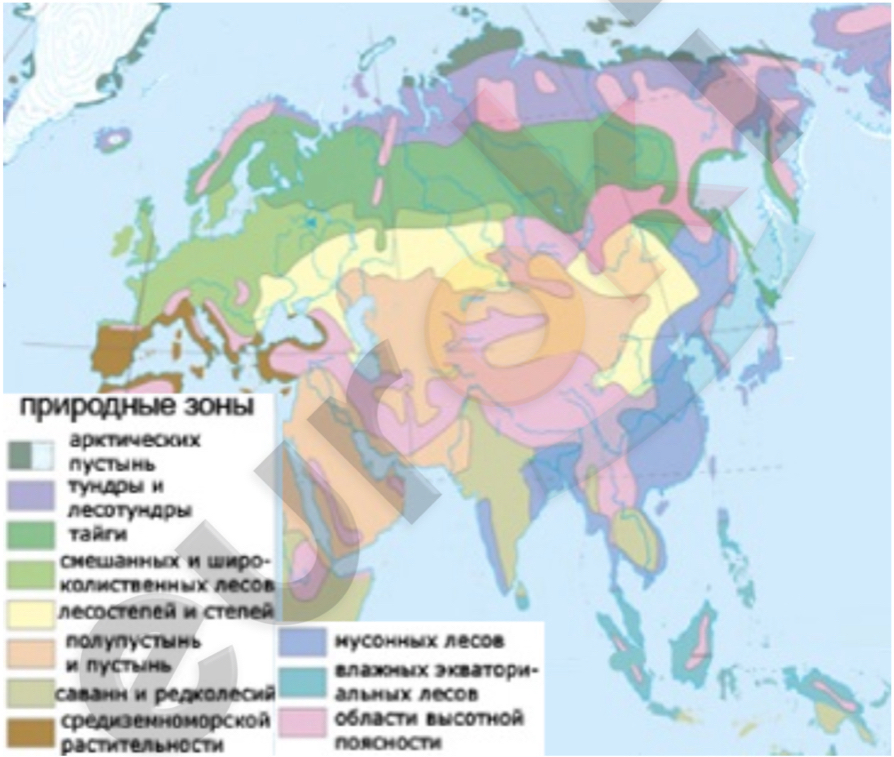 Практическая Работа Природные Зоны Евразии