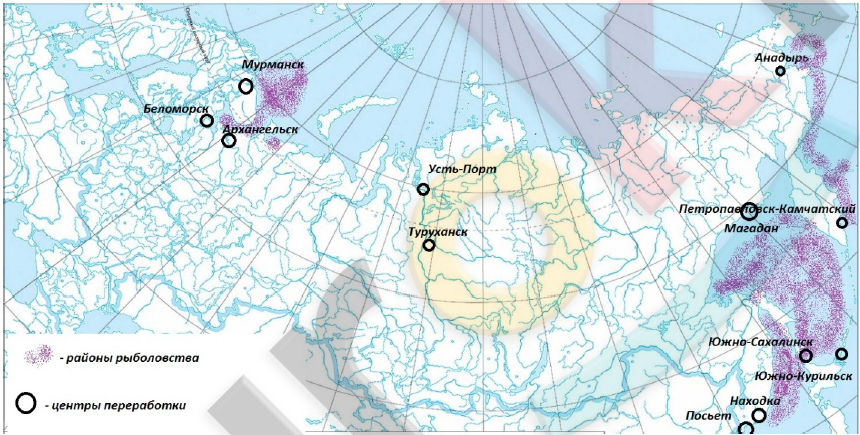 Крайние точки россии на контурной. Рыболовство в России на контурной карте. Крайние точки на контурной карте. Крайние точки России география. Рыболовный промысел на контурной карте.