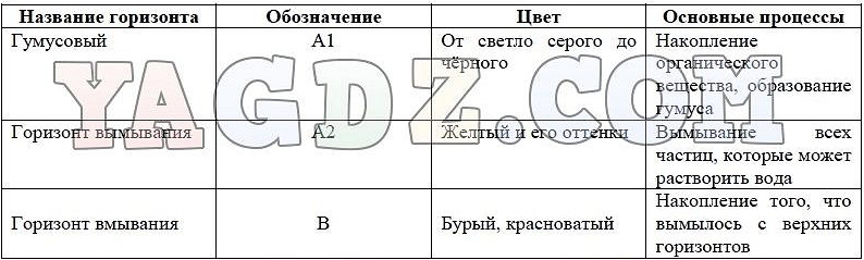 Контрольная карта по географии 8 класс