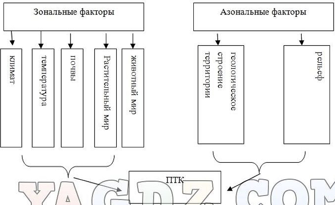 Как проводят границы между крупными птк