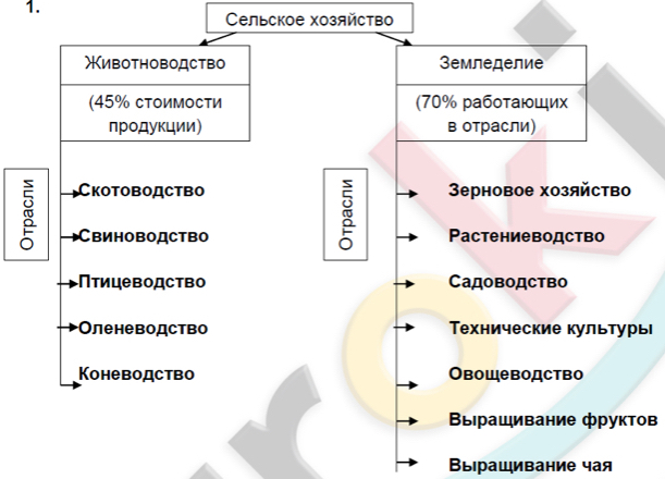 Используя текст учебника дополните схему